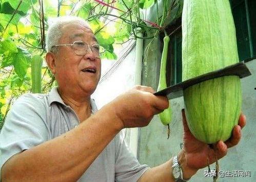 柳爷吃瓜,揭秘娱乐圈背后的那些事儿