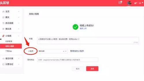 头条小程序打开视频黑屏,头条小程序视频黑屏问题解析及解决攻略