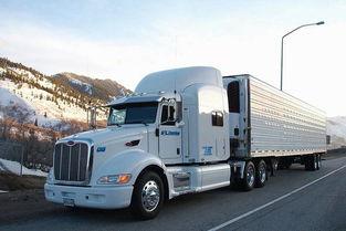 外国的网红卡车品牌,引领潮流的钢铁巨兽风采