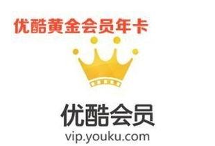 优酷vip会员头条,独家内容抢先看，畅享视听盛宴