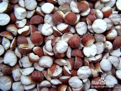 吃籽瓜胃疼,揭秘籽瓜与胃部健康的微妙关系