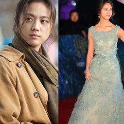 中国明星获奖韩国,荣耀时刻再创辉煌