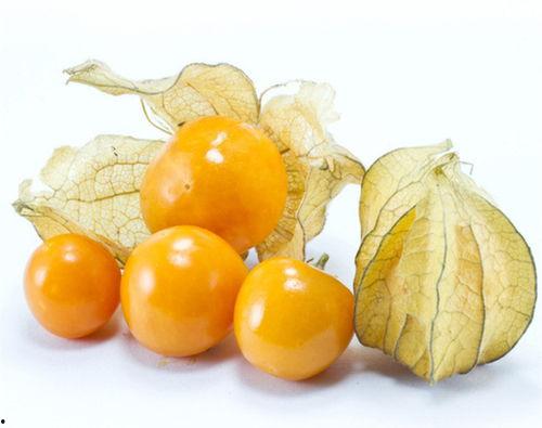 河北吃瓜姑娘,揭秘民间美食背后的故事