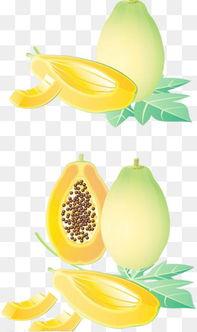 玉珠吃瓜动画全集,揭秘娱乐圈的甜蜜与苦涩