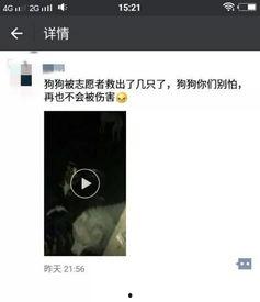 徐州最新爆料视频曝光