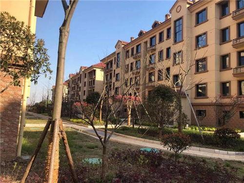 上海长兴今日头条,最新动态与热点事件速览