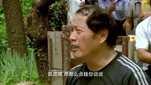 回到村里的明星,揭秘回到村里的明星传奇人生